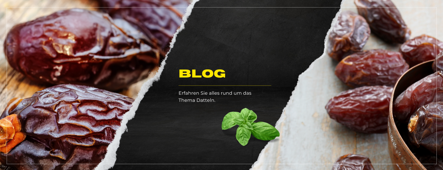 Blog - Medjool Datteln